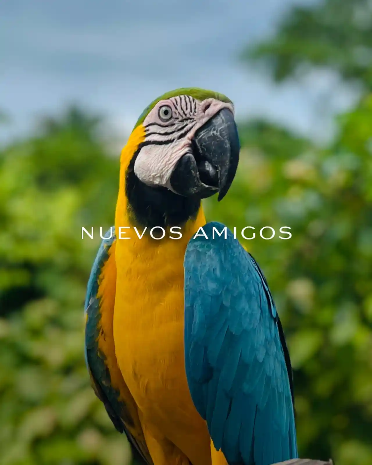 Biodiversidad del Caribe colombiano